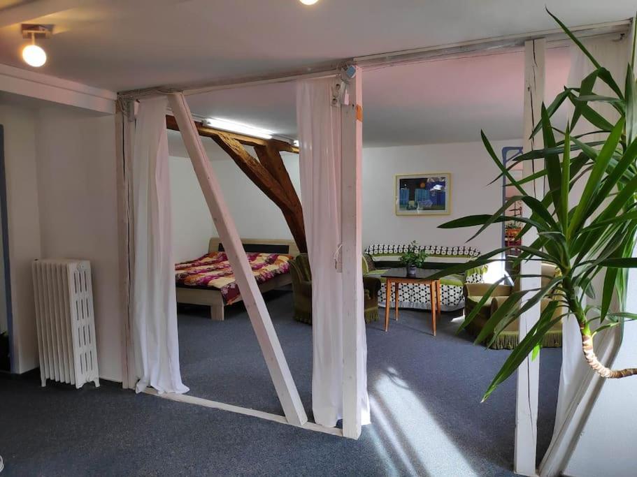 Grosse 130 M2 Gemuetliche Wohnung Im Herzen Tribergs 特里贝格 外观 照片