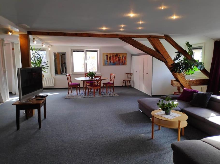 Grosse 130 M2 Gemuetliche Wohnung Im Herzen Tribergs 特里贝格 外观 照片