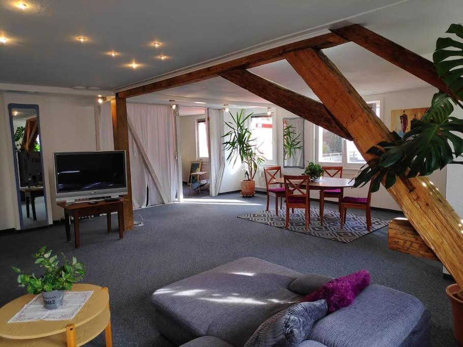 Grosse 130 M2 Gemuetliche Wohnung Im Herzen Tribergs 特里贝格 外观 照片